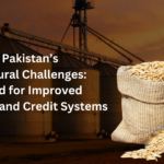 Pakistani farmer handling grain storage challenges