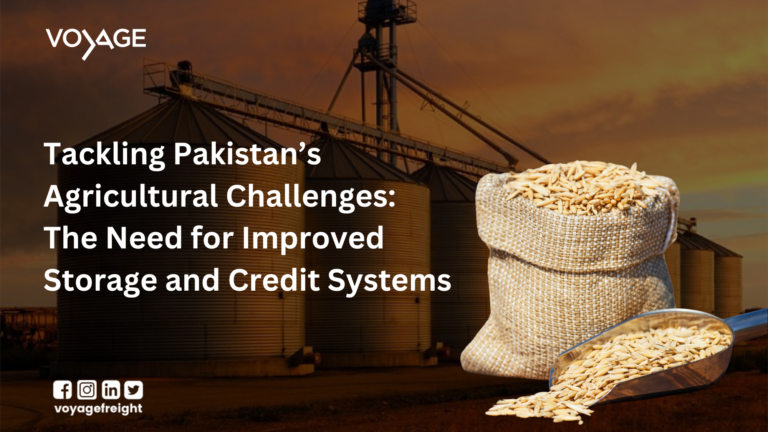 Pakistani farmer handling grain storage challenges