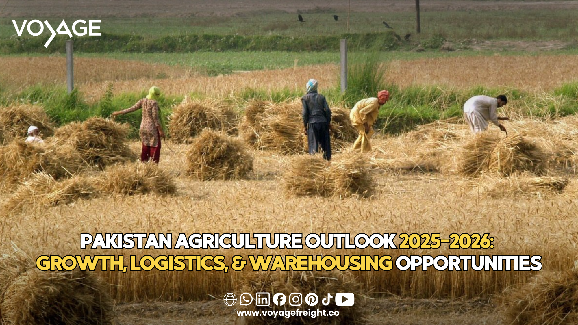Pakistan Agriculture Insights 2026