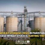 Pakistan wheat storage crisis