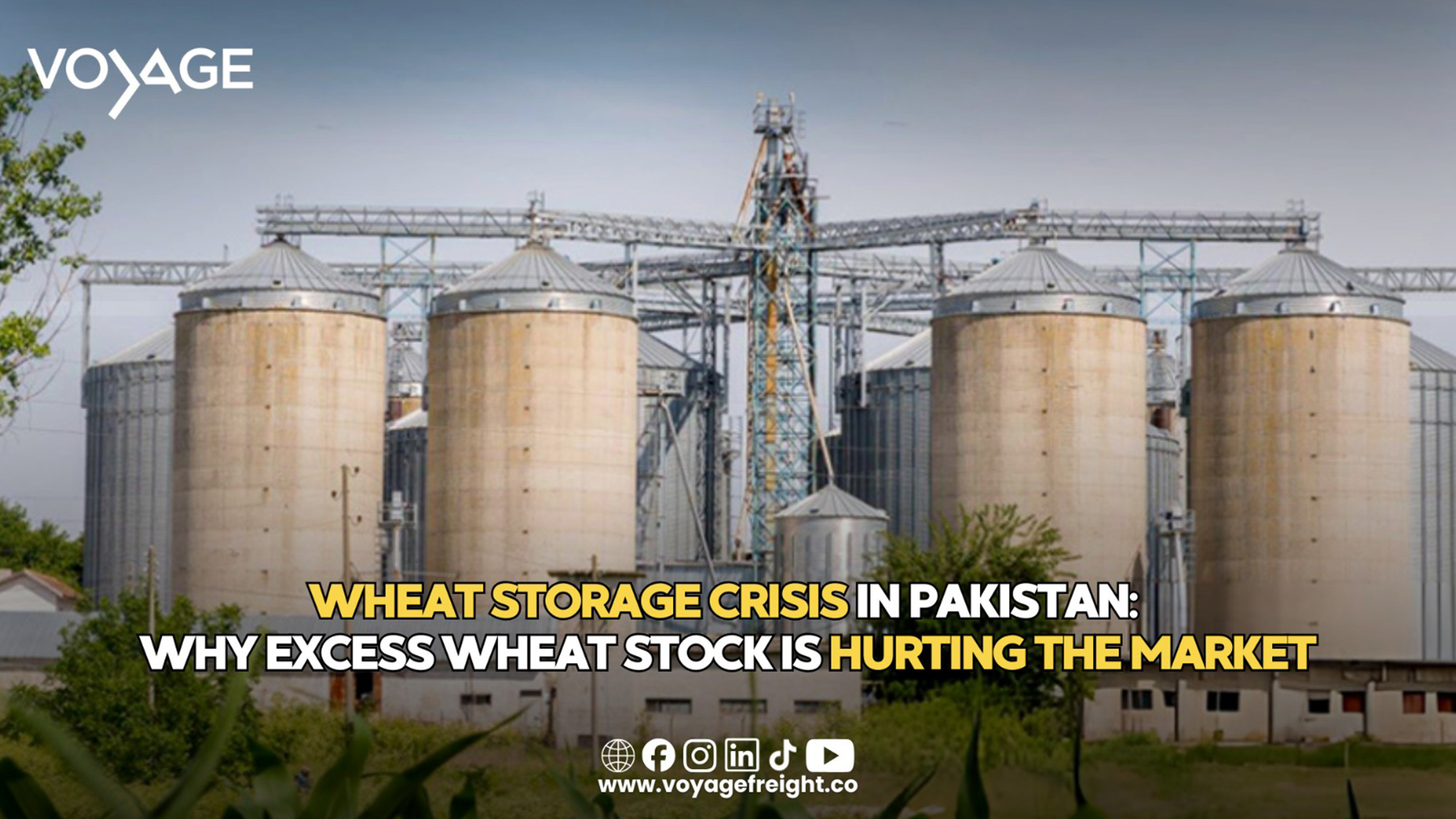 Pakistan wheat storage crisis